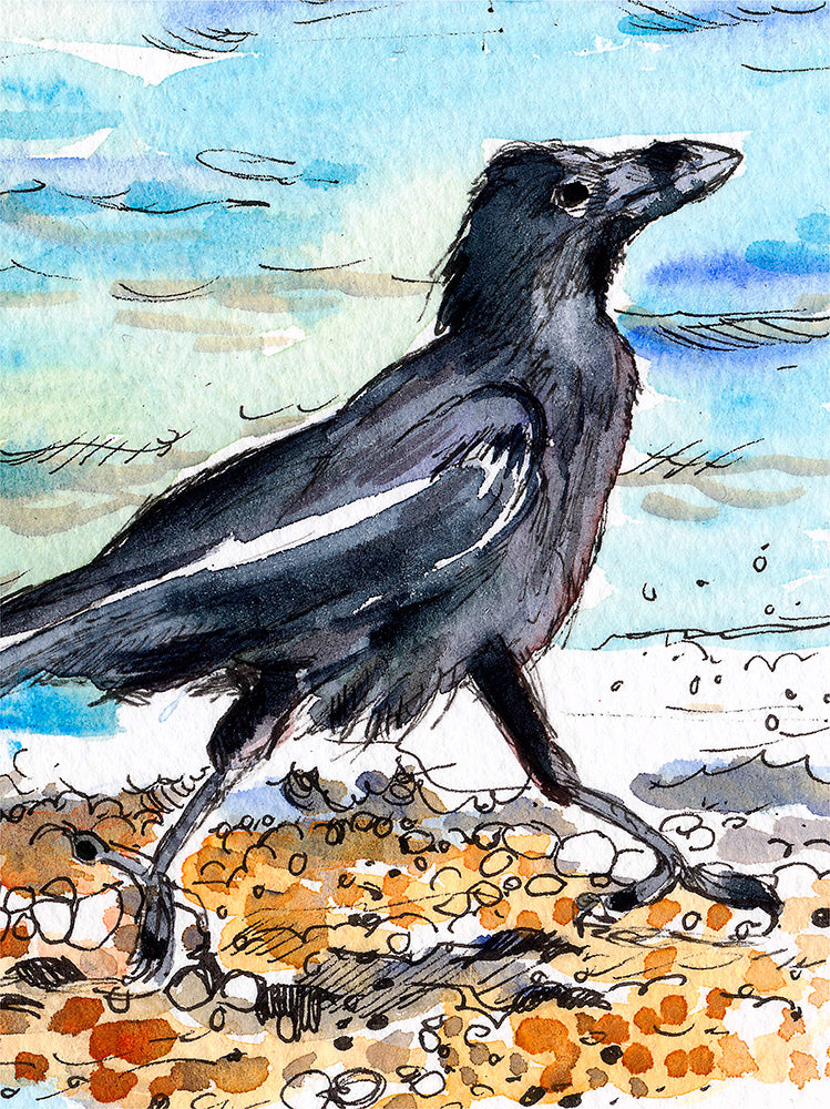 329 - Carefree Crow