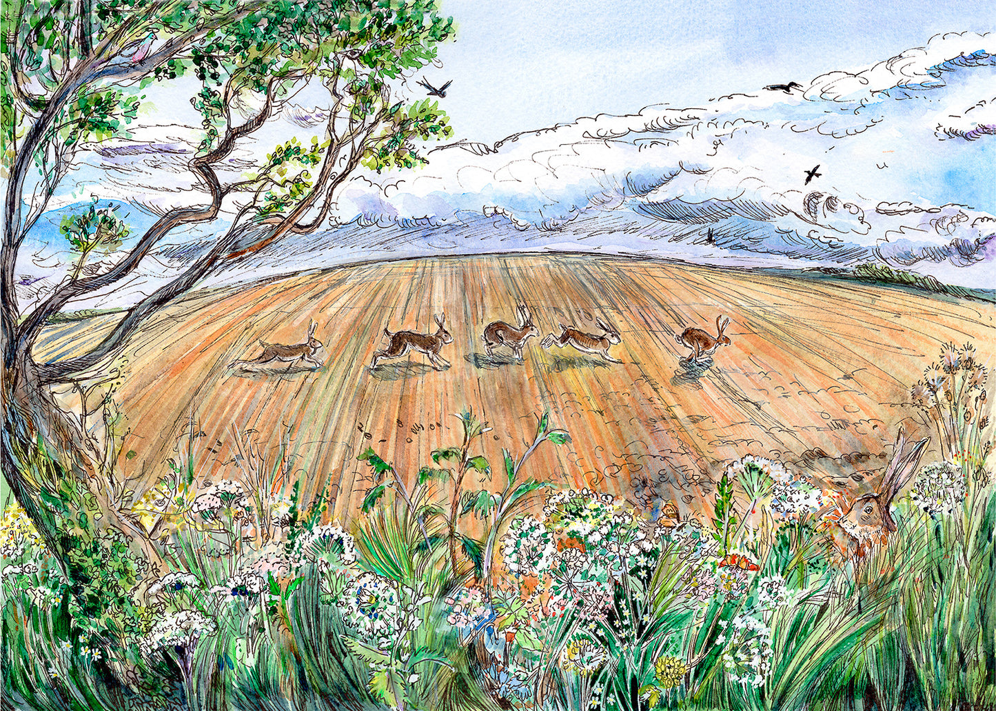 438 Hares on Samber Hill