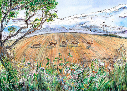 438 Hares on Samber Hill