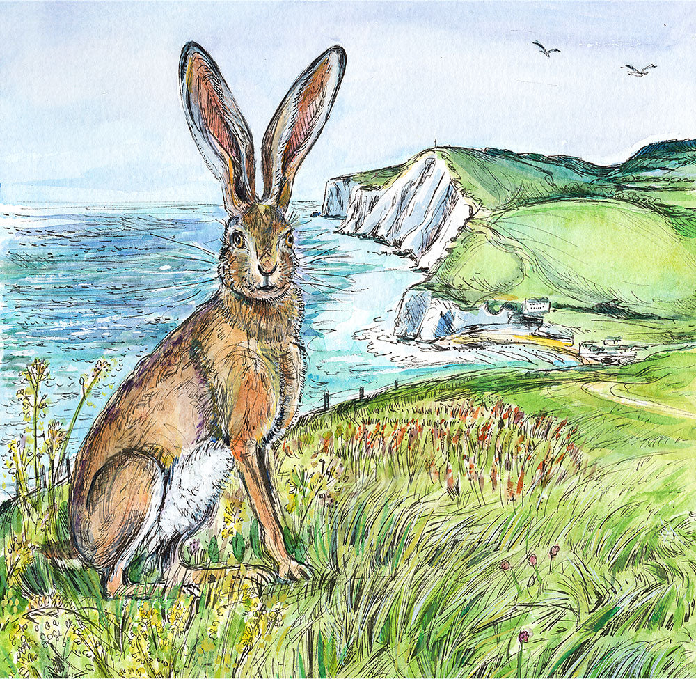 458 - Tennyson's hare