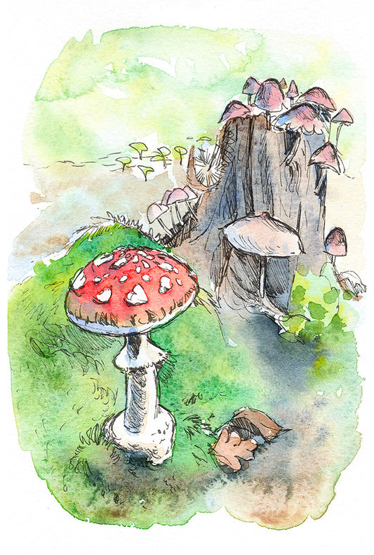 487 Mushrooms in the forest - Original Painting