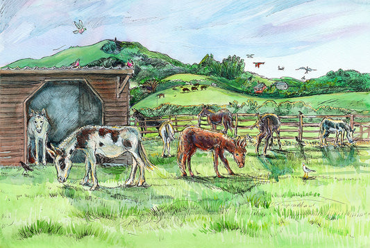 499 - Isle of Wight Donkey Sanctuary