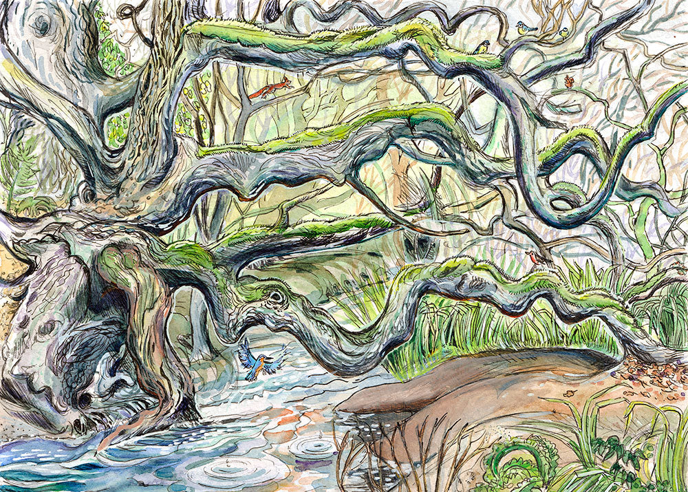 539 - Brighstone Dragon Tree