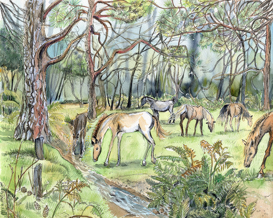m2 New forest Ponies