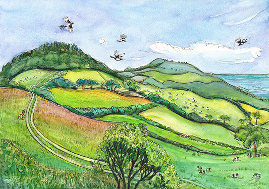 M7 Langdon Hill - Dorset