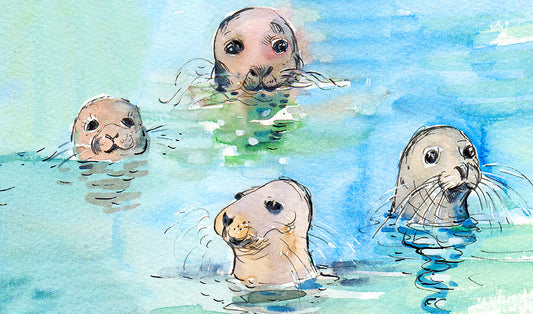 433b Happy Seals
