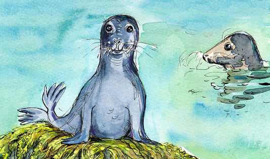 433 Island Seals