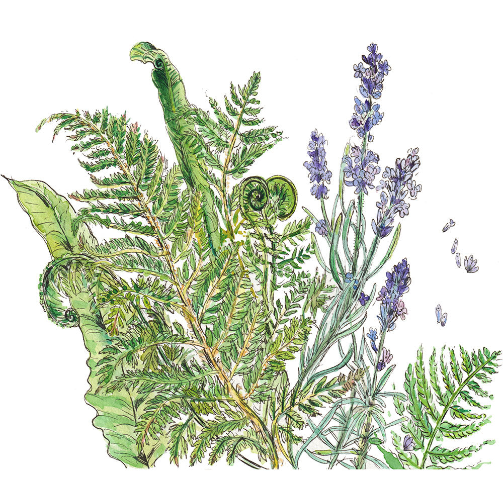 Lavender and ferns
