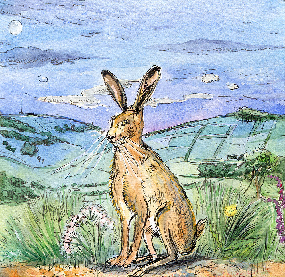 391 A noble IOW Hare near Ventnor