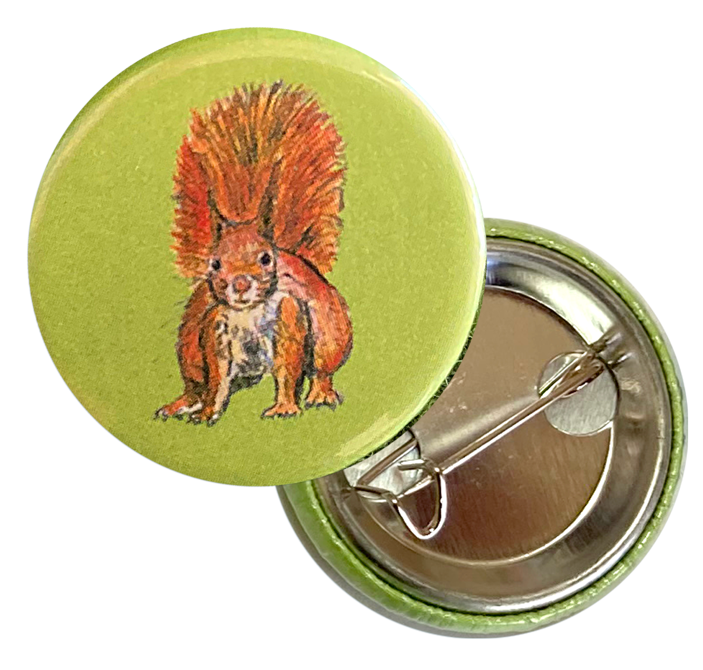 Pin Badge 24mm - Red squirrel