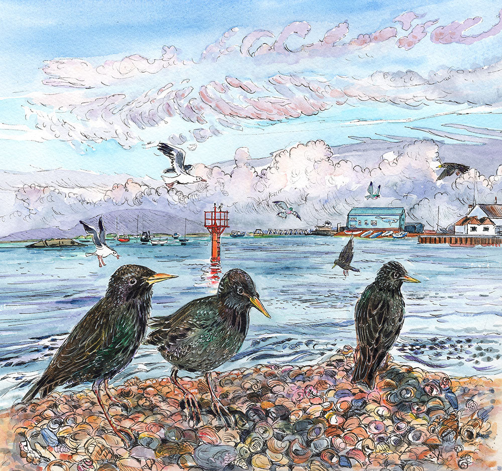 M6 Starlings at Portsea Island - Original Painting