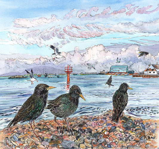M6 Starlings at Portsea Island - Original Painting