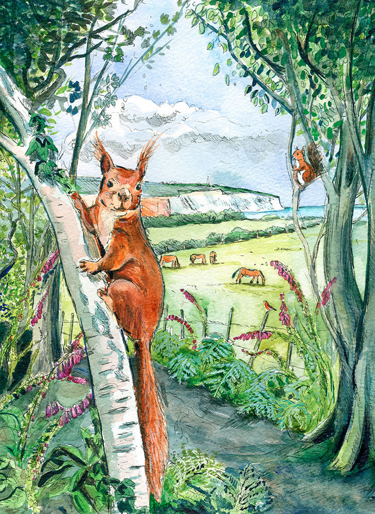 180 Red Squirrels at Borthwood Copse - Card