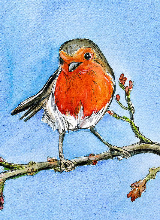 Print - 267 Robin