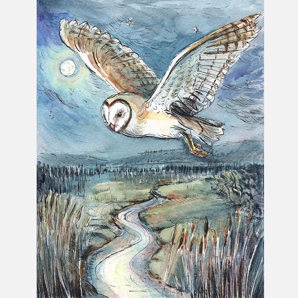 468 - Barn Owl swoops at Dodnor - Giclée Print image 0