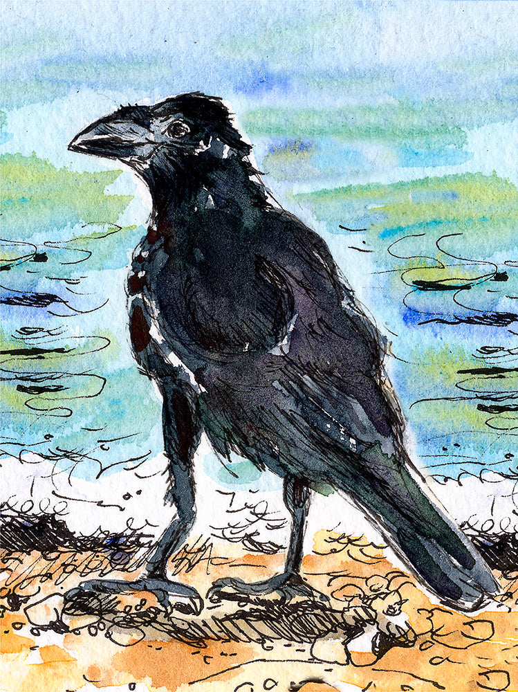 328 - Clandestine crow