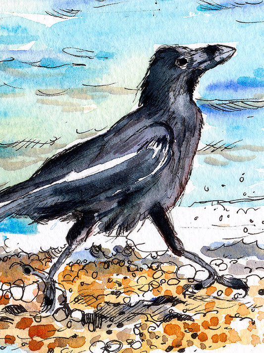 329 - Carefree Crow