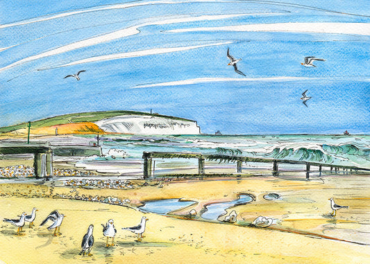399 - Shanklin Gulls