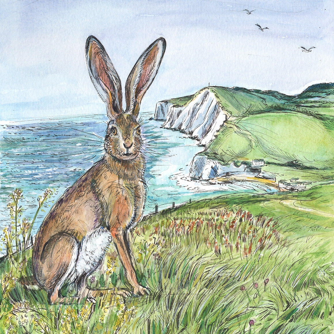 458 - Tennyson's hare