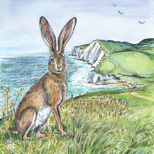 458 - Tennyson's hare