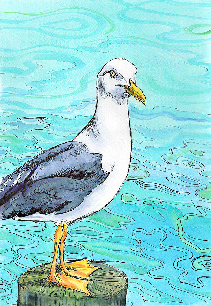 485 - Haughty Herring gull - Giclée Print