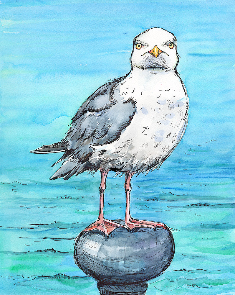 486 - Hungry herring gull - Giclée print