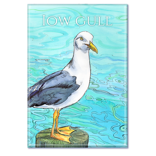 485 IOW Gull - Fridge Magnet 79 x 54mm (Copy)