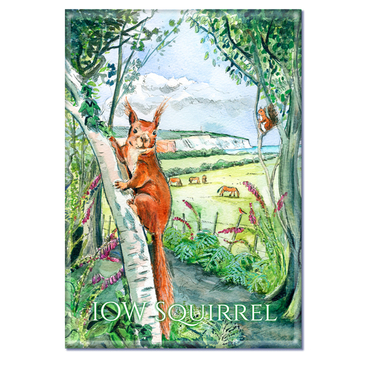 180 IOW Squirrel - Fridge Magnet 79 x 54mm