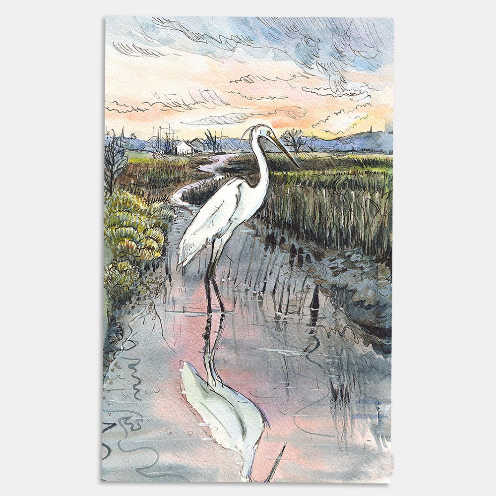 518 - A white egret on the old mill pond at St Helens  - Giclée Print image 0