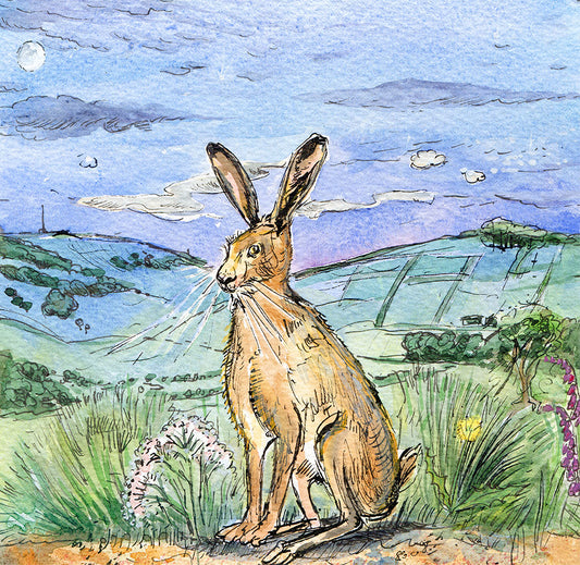 391 A noble IOW Hare near Ventnor