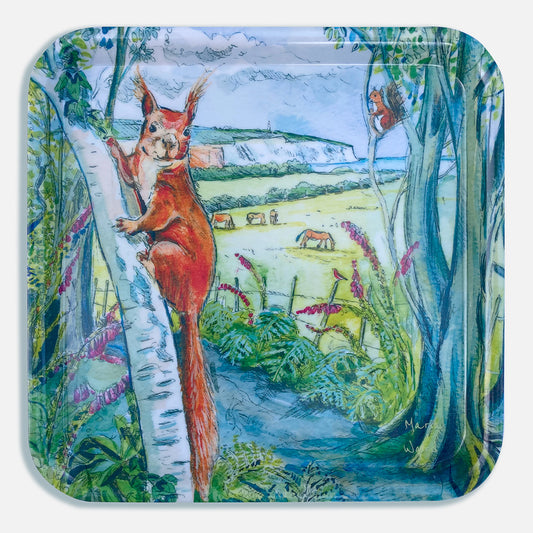 180 - Red Squirrels at Borthwood Copse - Square Tray 29x29cm