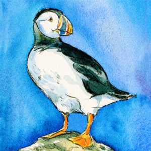 141b – Proud Puffin – Maria Ward