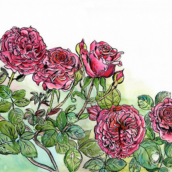 painting of roses