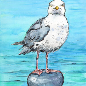 a painting of a hungry herring gull